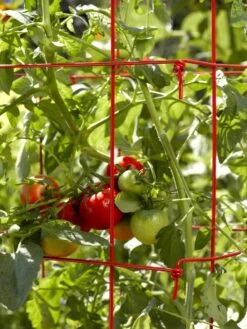 Tomato Cages, Set Of 4 9 Tomato Cages, Set Of 4 -Default Template 3 34182 592 1