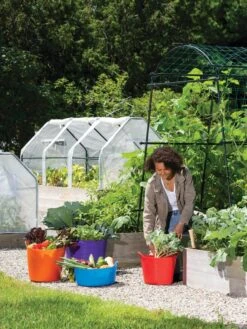 3-Season Plant Protection Tent, 4' X 8' -Default Template 3 35 592 0184 tif