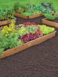 2' Raised Beds