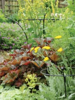 Essex Plant Supports -Default Template 3 37423 280 tif