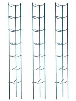 Tomato Ladders, Set Of 3 8 Tomato Ladders, Set Of 3 -Default Template 3 38184 002E psd