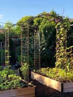 New Arrival -Default Template 3 38690 02IN tif