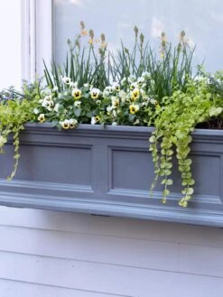 Fairfield Self-Watering Window Box, 3’ -Default Template 3 39 344 9360 tif