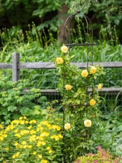 Jardin Round Obelisk, 7' 7 Jardin Round Obelisk, 7' -Default Template 3 39 530 1668 tif