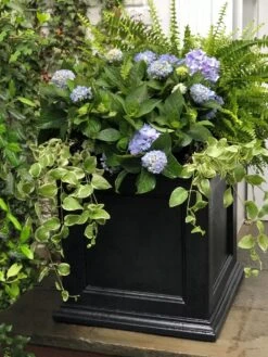 Fairfield Self-Watering Square Planter, 20” X 20” -Default Template 3 39 618 205V tif