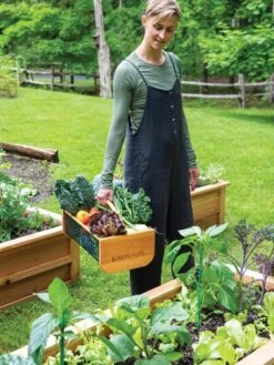 Garden Hods -Default Template 3 39 761 0146 tif