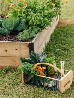 Garden Hods -Default Template 3 39 761 572 tif