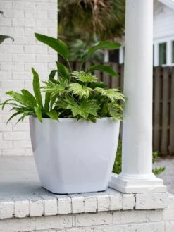 Viva Square Self-Watering Rolling Planter, 20" Diameter, Set Of 2 17 Viva Square Self-Watering Rolling Planter, 20" Diameter, Set Of 2 -Default Template 3 3 4 crop 8612930 0033 tif