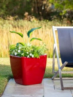 Viva Square Self-Watering Rolling Planter, 20" Diameter, Set Of 2 15 Viva Square Self-Watering Rolling Planter, 20" Diameter, Set Of 2 -Default Template 3 3 4 crop 8612930 0035 tif