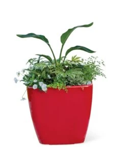 Viva Square Self-Watering Rolling Planter, 20" Diameter, Set Of 2 18 Viva Square Self-Watering Rolling Planter, 20" Diameter, Set Of 2 -Default Template 3 3 4 crop 8612930 0037 tif