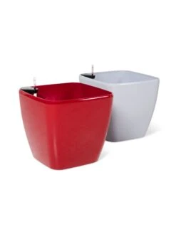 Viva Square Self-Watering Rolling Planter, 20" Diameter, Set Of 2 23 Viva Square Self-Watering Rolling Planter, 20" Diameter, Set Of 2 -Default Template 3 3 4 crop 8612930 0104