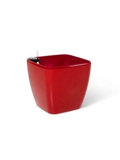 Viva Square Self-Watering Rolling Planter, 20" Diameter, Set Of 2 25 Viva Square Self-Watering Rolling Planter, 20" Diameter, Set Of 2 -Default Template 3 3 4 crop 8612930 0105