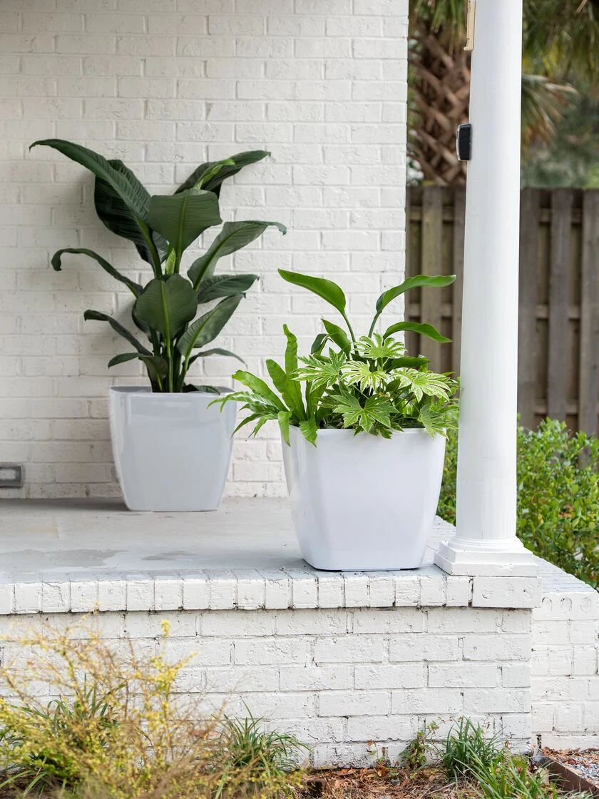 Viva Square Self-Watering Rolling Planter, 20" Diameter, Set Of 2 2 Viva Square Self-Watering Rolling Planter, 20" Diameter, Set Of 2 - Image 2