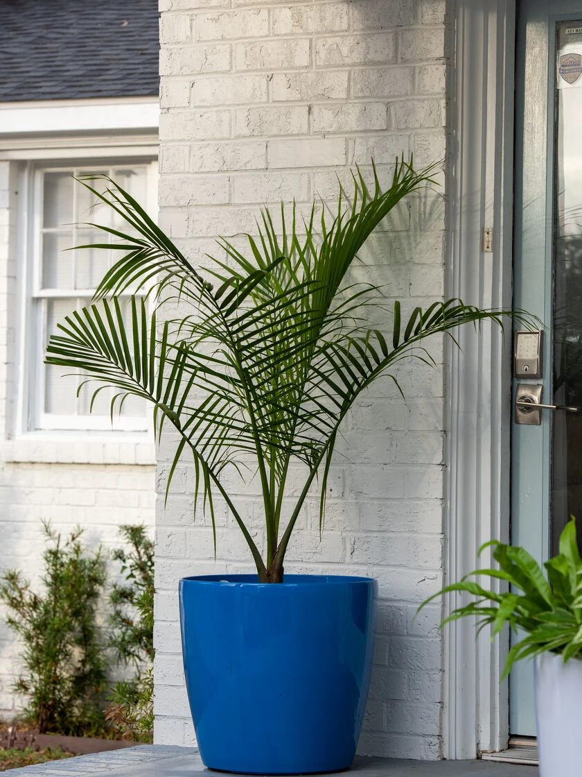 Viva Round Self-Watering Rolling Planter, 20" Diameter, Set Of 2 3 Viva Round Self-Watering Rolling Planter, 20" Diameter, Set Of 2 - Image 3