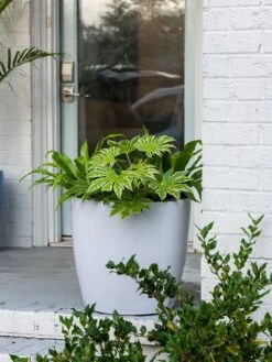 Viva Round Self-Watering Rolling Planter, 20" Diameter, Set Of 2 15 Viva Round Self-Watering Rolling Planter, 20" Diameter, Set Of 2 -Default Template 3 3 4 crop 8612933 0025 tif