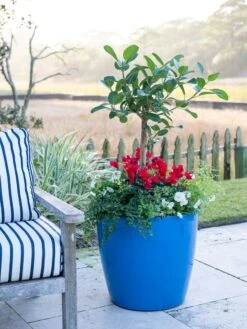 Viva Round Self-Watering Rolling Planter, 20" Diameter, Set Of 2 16 Viva Round Self-Watering Rolling Planter, 20" Diameter, Set Of 2 -Default Template 3 3 4 crop 8612933 5312 tif