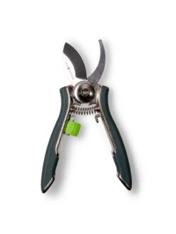Houseplant Pruner 10 Houseplant Pruner -Default Template 3 3 4 crop 8612961 0012