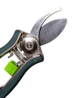 New Arrival -Default Template 3 3 4 crop 8612961 0015