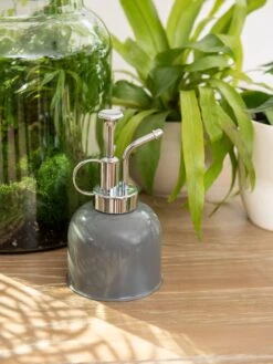 Indoor Plant Mister 12 Indoor Plant Mister -Default Template 3 3 4 crop 8612962 0049