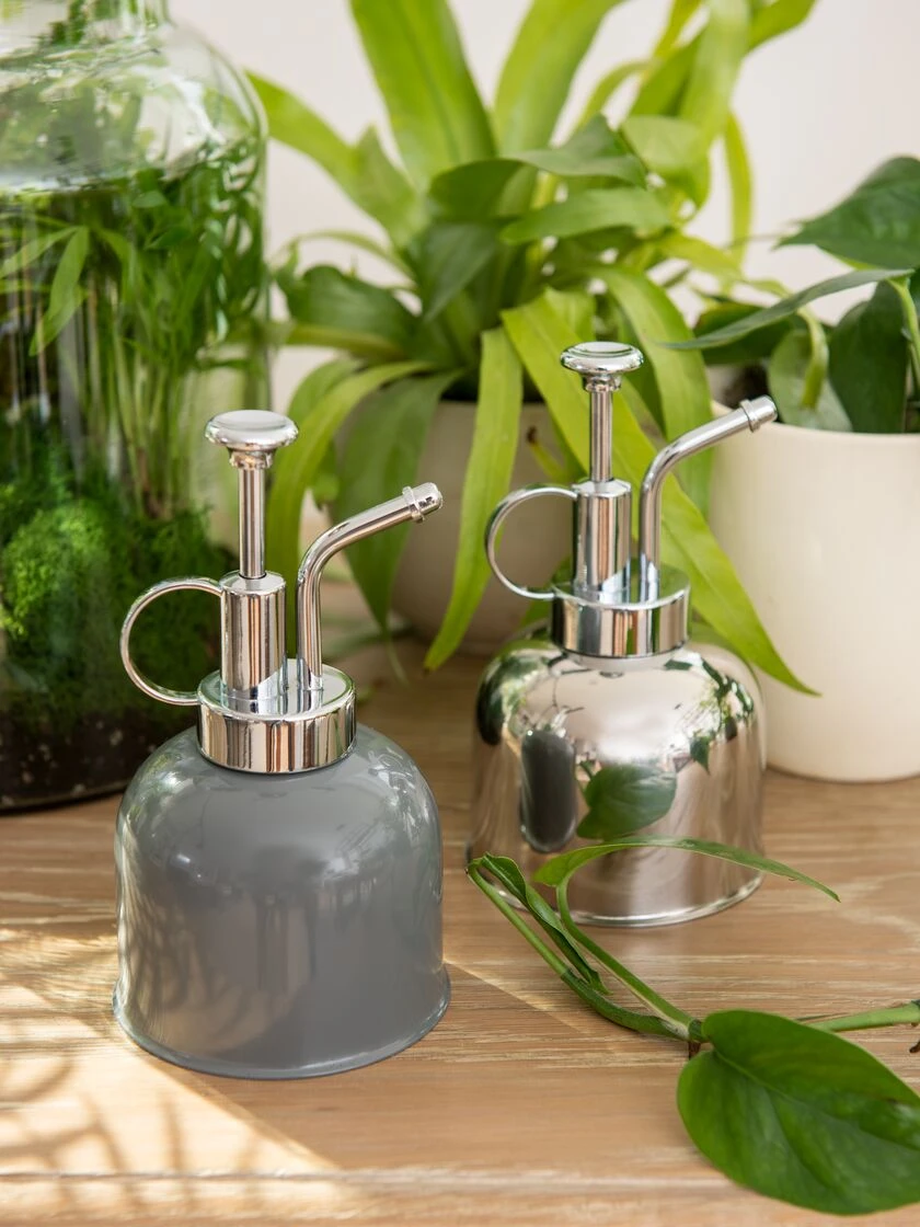 Indoor Plant Mister 1 Indoor Plant Mister