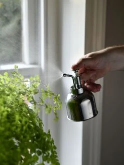 Indoor Plant Mister 14 Indoor Plant Mister -Default Template 3 3 4 crop 8612962 02V tif