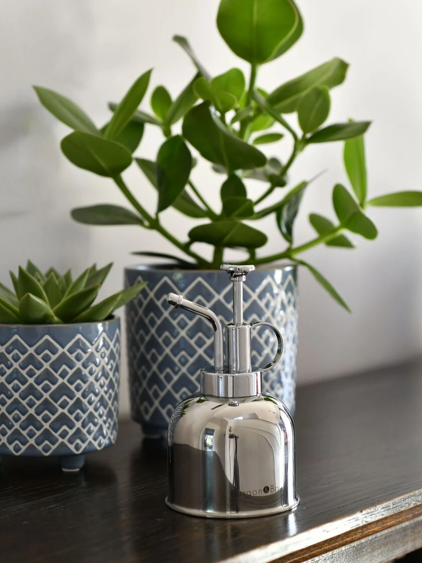 Indoor Plant Mister 4 Indoor Plant Mister - Image 4