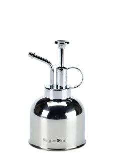 Indoor Plant Mister 19 Indoor Plant Mister -Default Template 3 3 4 crop 8612962 05V tif