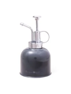 Indoor Plant Mister 17 Indoor Plant Mister -Default Template 3 3 4 crop 8612962 3478