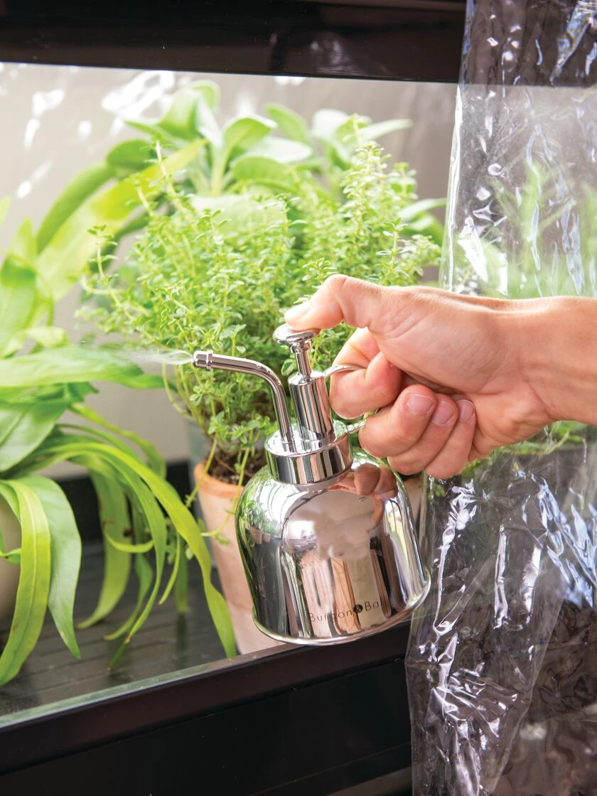 Indoor Plant Mister 2 Indoor Plant Mister - Image 2