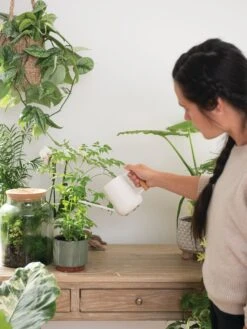 Pinpoint Indoor Watering Can -Default Template 3 3 4 crop 8612963 3774