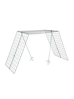 Over The Top Cucumber And Squash Trellis -Default Template 3 3 4 crop 8613058 4890