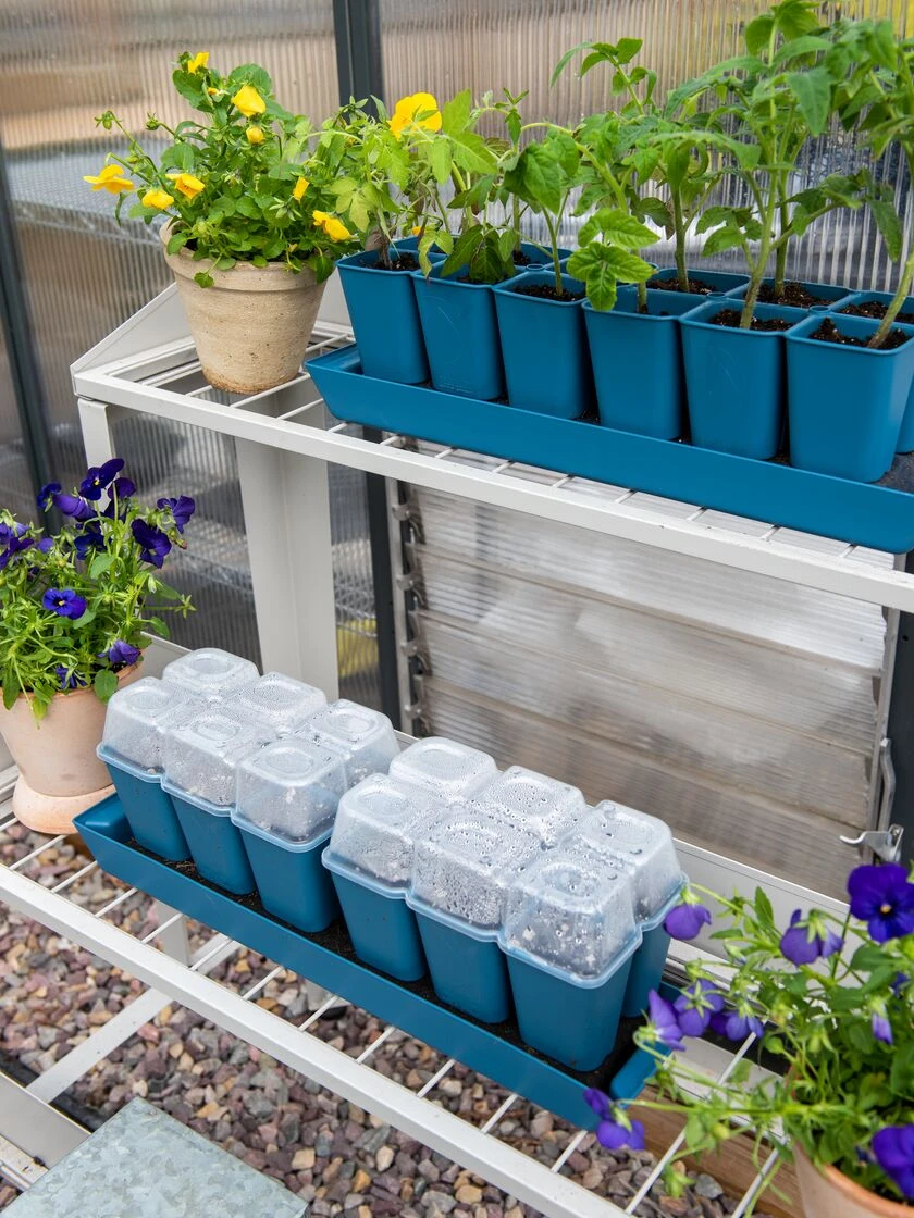 Gardener's Best® Humidity Dome, Set Of 2 2 Gardener's Best® Humidity Dome, Set Of 2 - Image 2