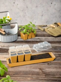 Gardener's Best® Humidity Dome, Set Of 2 6 Gardener's Best® Humidity Dome, Set Of 2 -Default Template 3 3 4 crop 8613067 10063