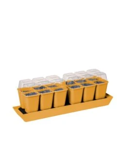 Gardener's Best® Humidity Dome, Set Of 2 7 Gardener's Best® Humidity Dome, Set Of 2 -Default Template 3 3 4 crop 8613067 5879 tif