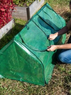 Multi Cloche -Default Template 3 3 4 crop 8613213 0250