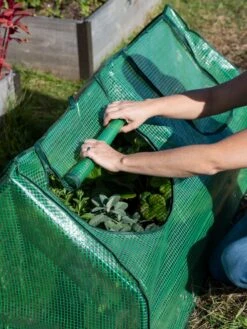 Multi Cloche -Default Template 3 3 4 crop 8613213 0265