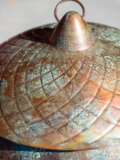 Acorn Hose Pot -Default Template 3 3 4 crop 8613361 0045