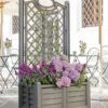 Separate Flower Box With Trellis