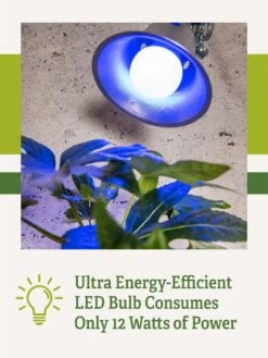 Miracle LED® Grow Light Bulb, Blue -Default Template 3 3 4 crop Miracle Bulb Blue 2