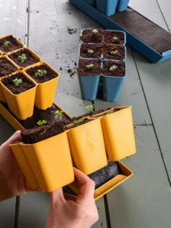 Coco Coir Seed Starting Mix -Default Template 3 40 135 6192