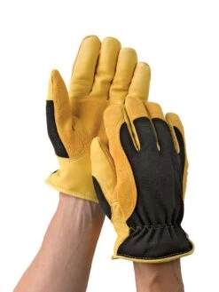 Men's Gold Leaf Winter Touch™ Gloves -Default Template 3 8586897 012