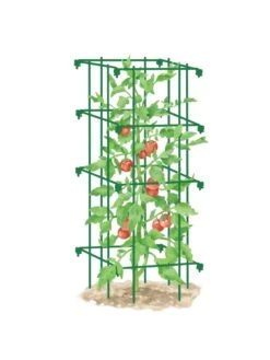 Tomato Cage, Single -Default Template 3 8587039 TomatoCage GRN tif