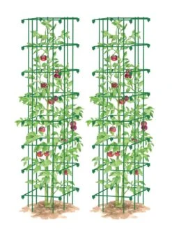 Tomato Towers, Set Of 2 -Default Template 3 8587041 0006 GRN tif