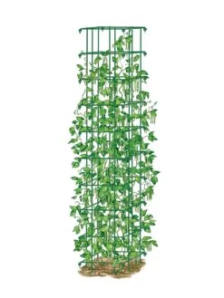 Bean Tower -Default Template 3 8587060 0008 GRN tif