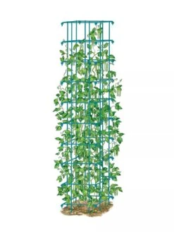 Bean Tower -Default Template 3 8587060 BeanTower BLUE