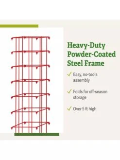 Bean Tower -Default Template 3 8587060 productdetails