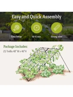Large Cucumber Trellis -Default Template 3 8587082 product details