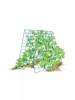 Deluxe Cucumber Trellis -Default Template 3 8587083 001 BLUE Cukes two sided deluxe cucumber trellis support storm blue 3 4
