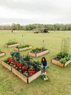 Deep Root Raised Beds, 14" Deep 4' Wide -Default Template 3 8587813 505 tif