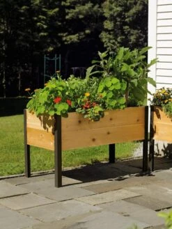 Elevated Planter Box, 2' X 4' -Default Template 3 8587823 704 tif